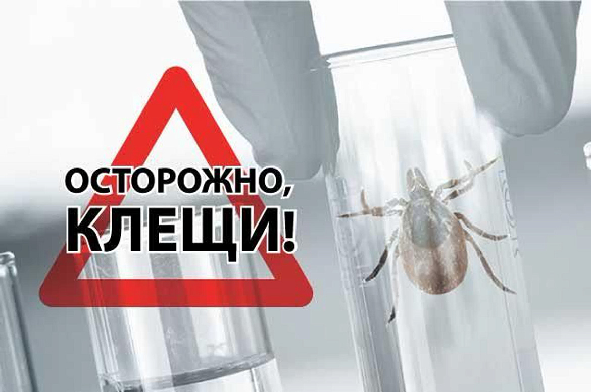 Заболевания, передающиеся клещами