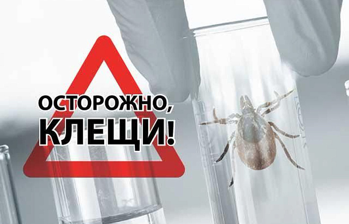 Заболевания, передающиеся клещами