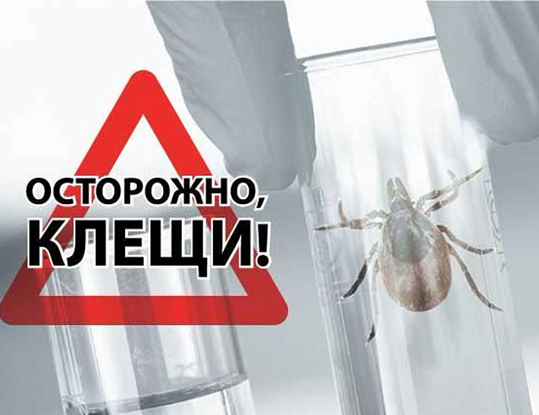 Заболевания, передающиеся клещами