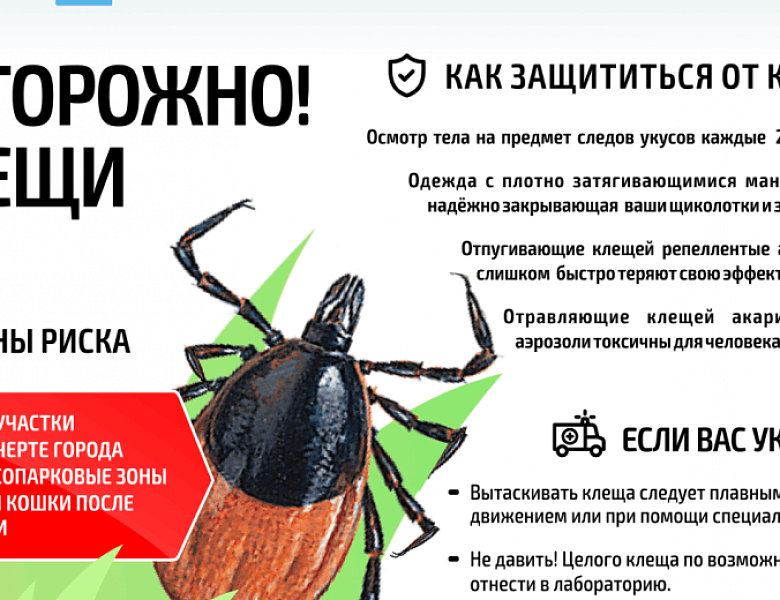 Осторожно: КЛЕЩИ!